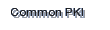 Common PKI